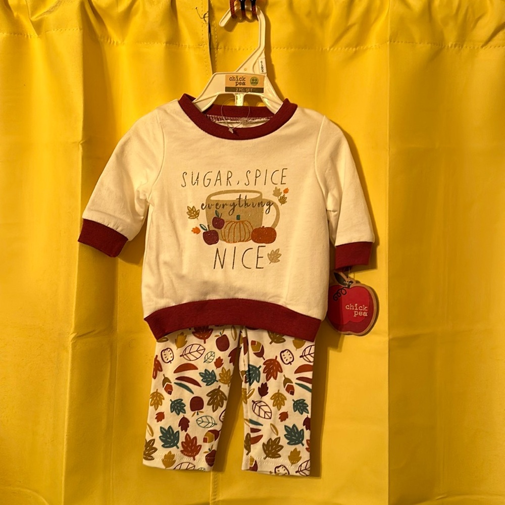 NWT chick pea 2 pc. Fall outfit